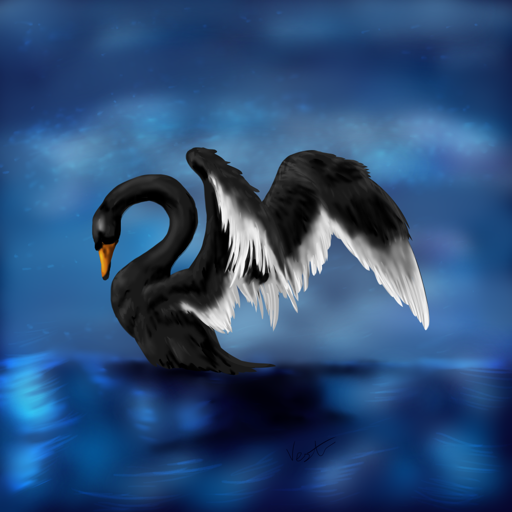 Black swan 2 sm